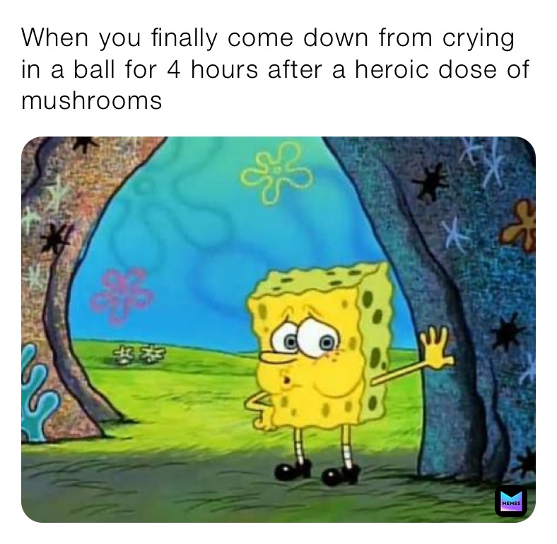 When you finally come down from crying in a ball for 4 hours after a heroic dose of mushrooms