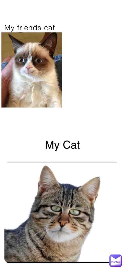 Something ain’t right