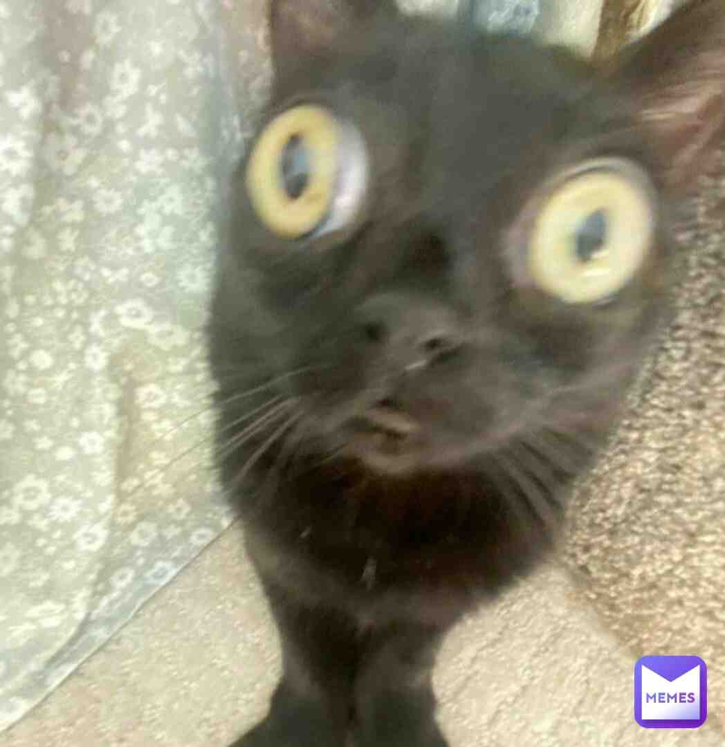 😳