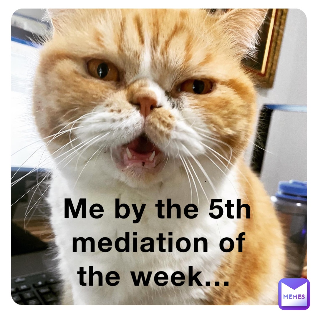 Me by the 5th mediation of the week…