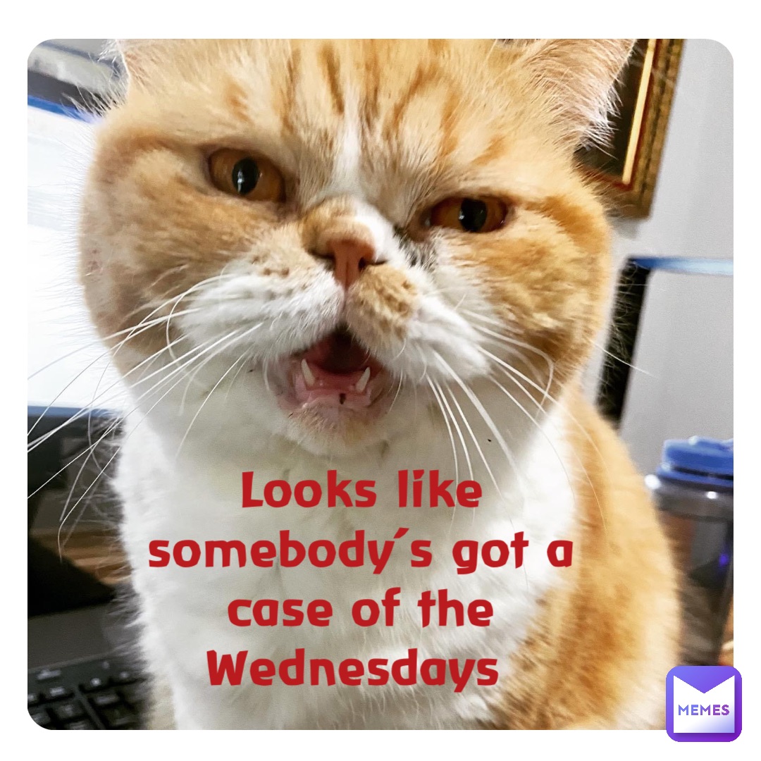 Looks like somebody’s got a case of the Wednesdays