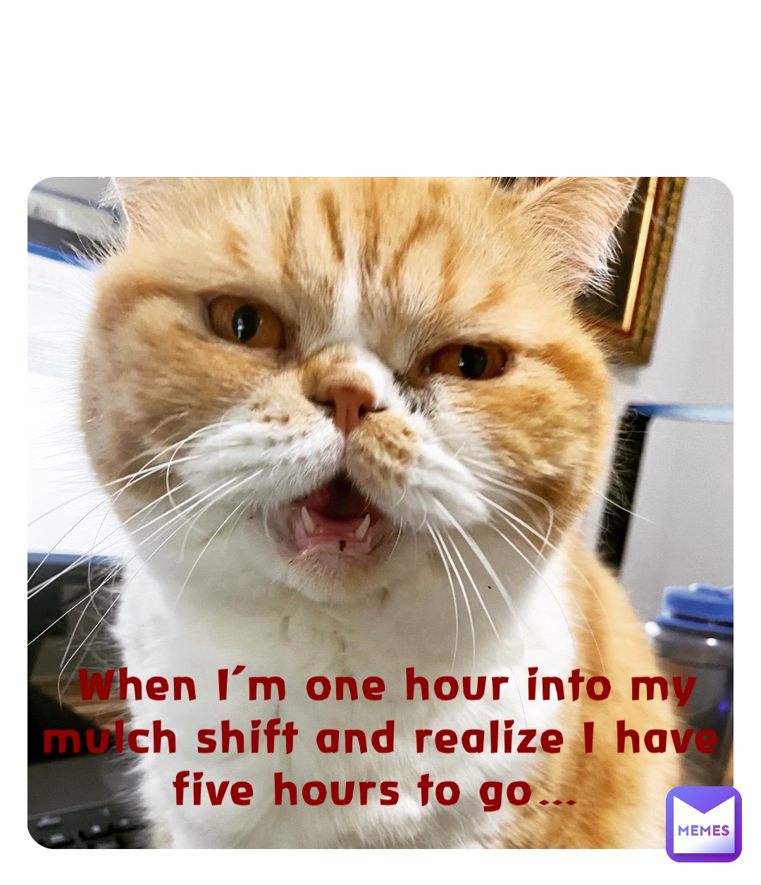When I’m one hour into my mulch shift and realize I have five hours to go…