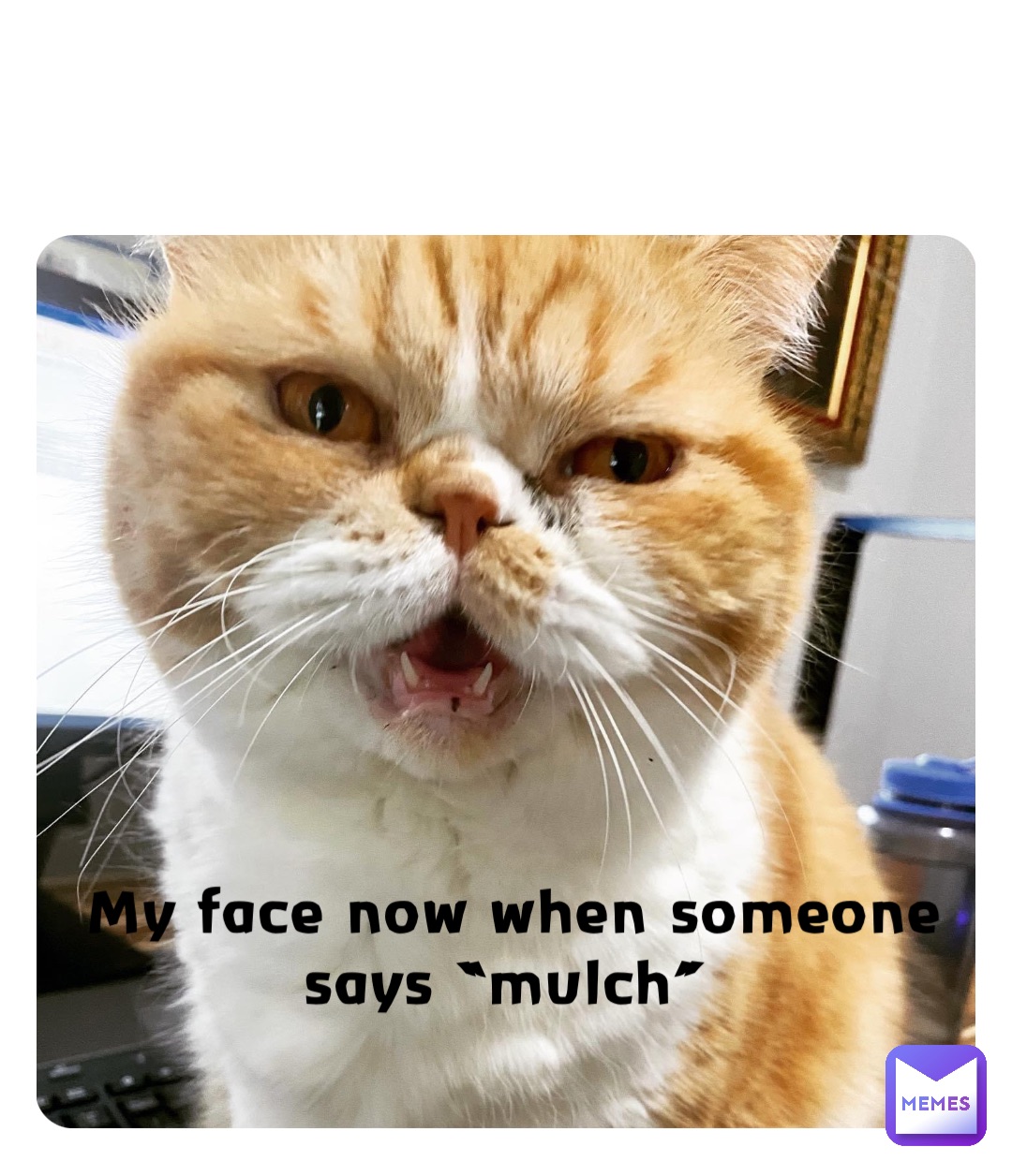 My face now when someone says “mulch”