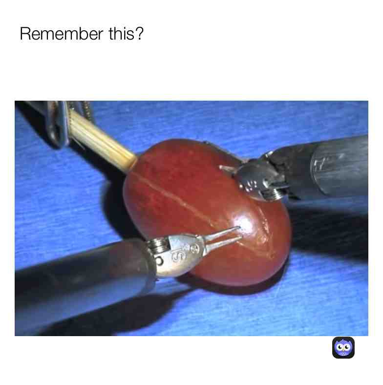 Meme shared by @doood