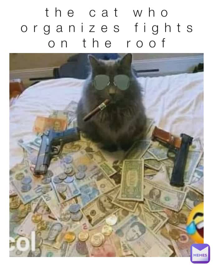 Meme by milagrobueso8