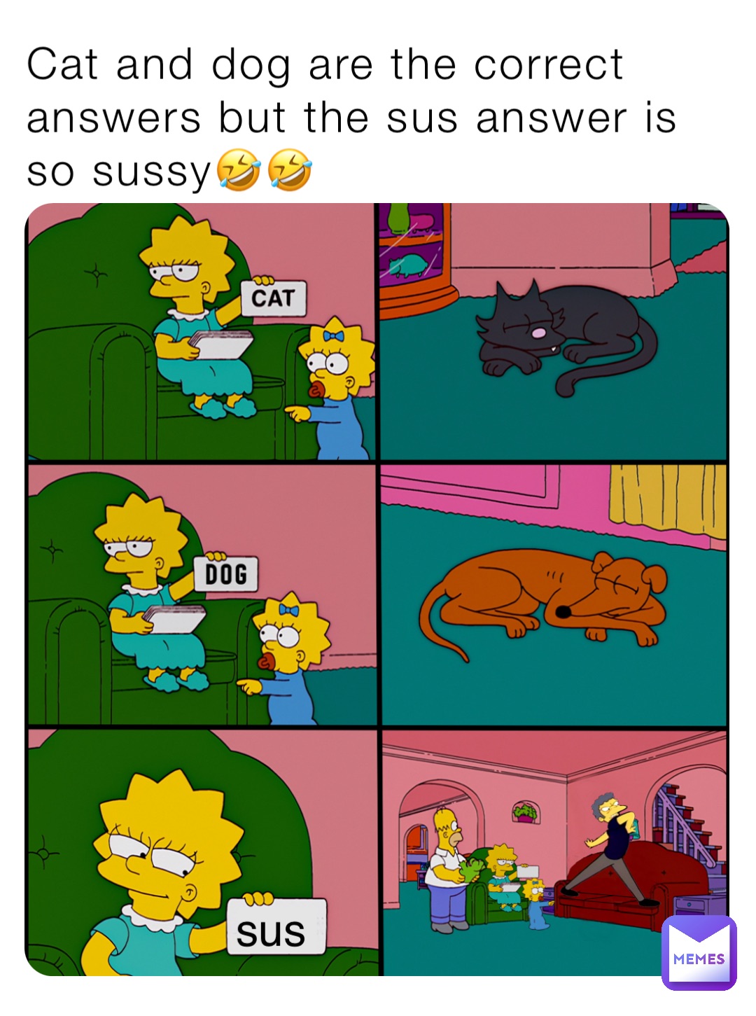 Cat and dog are the correct answers but the sus answer is so sussy🤣🤣 sus