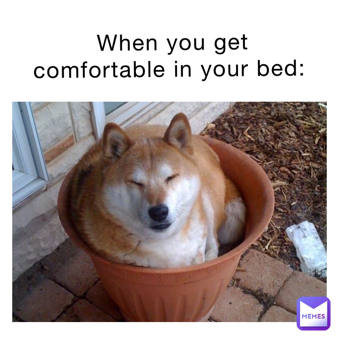 when you get comfortable in your bed: