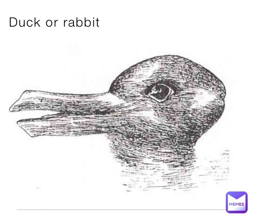 Duck or rabbit