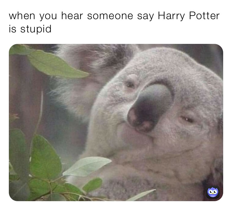 when you hear someone say Harry Potter is stupid 