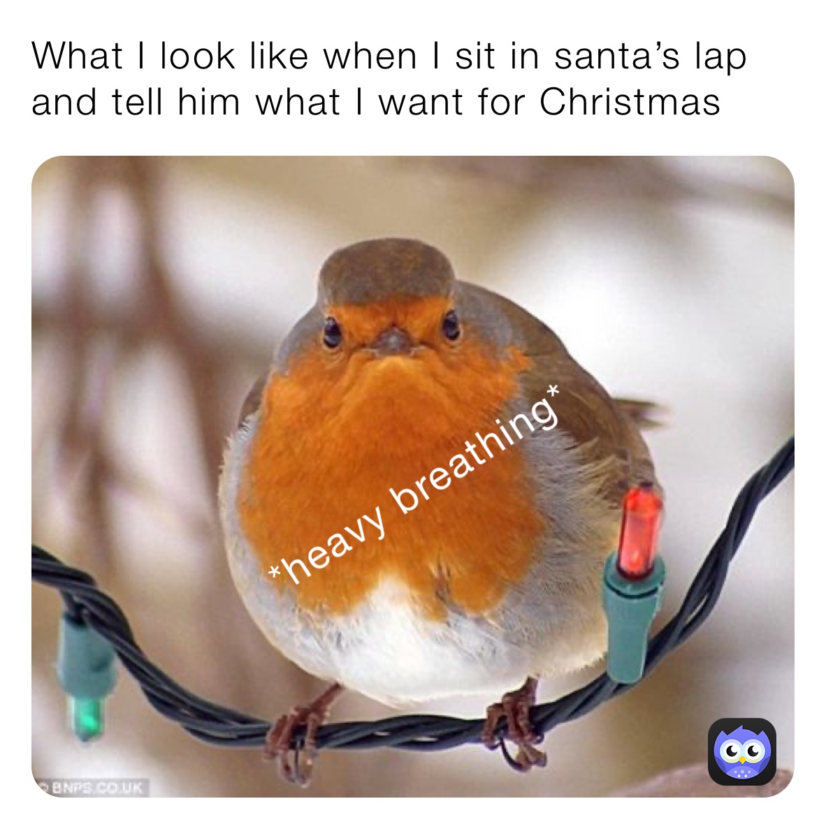 What I look like when I sit in santa’s lap and tell him what I want for Christmas 