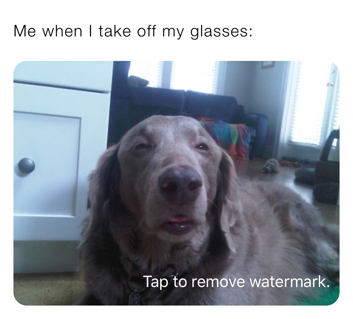 Me when I take off my glasses: