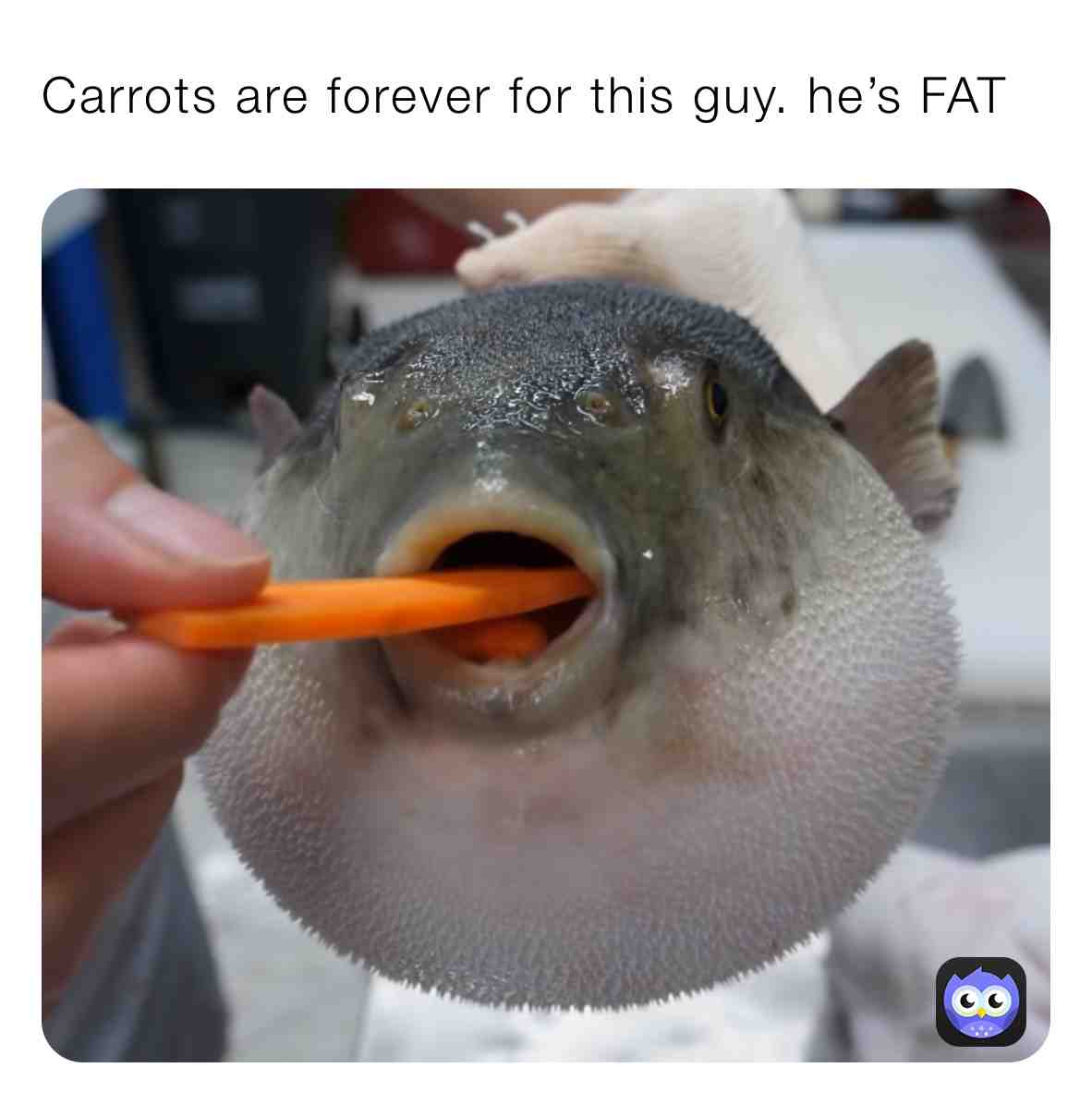 Meme shared by @Whitty_Ballistic