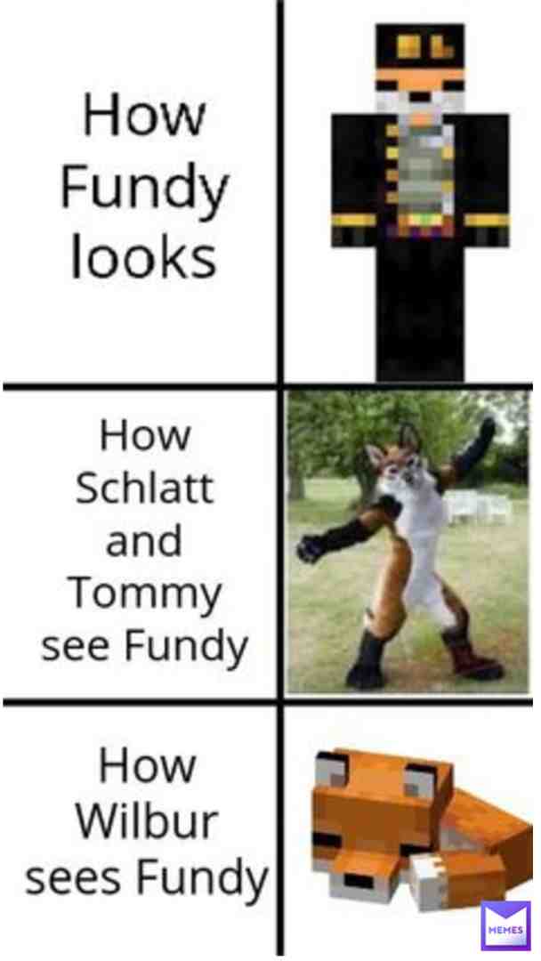 Meme shared by @DreamNotFound4532