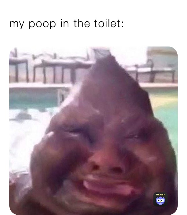 my poop in the toilet: