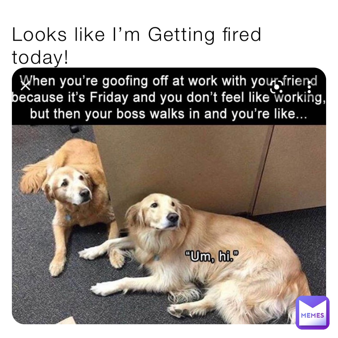 Looks like i m getting fired today queenofmeme 18383 memes