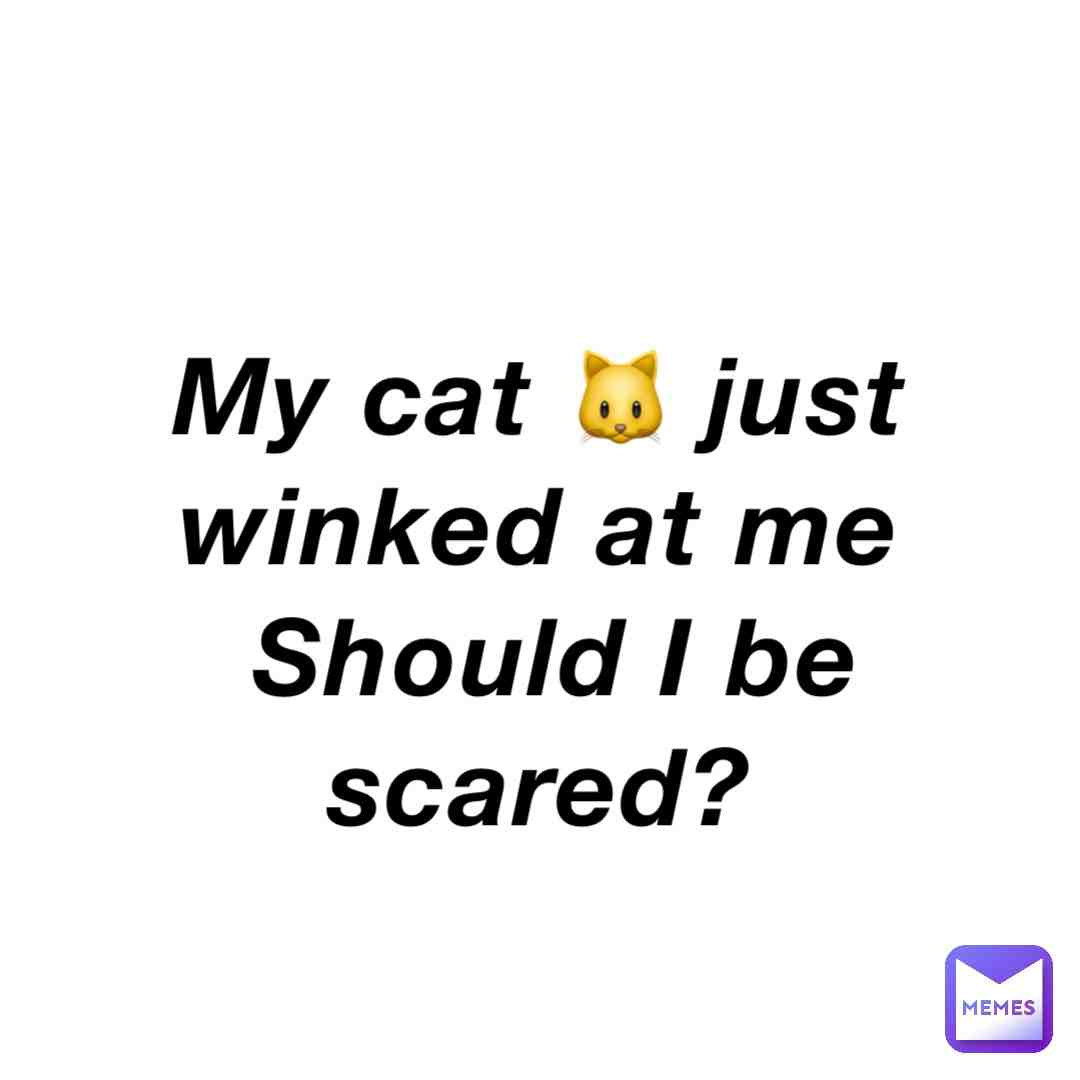 Meme preview