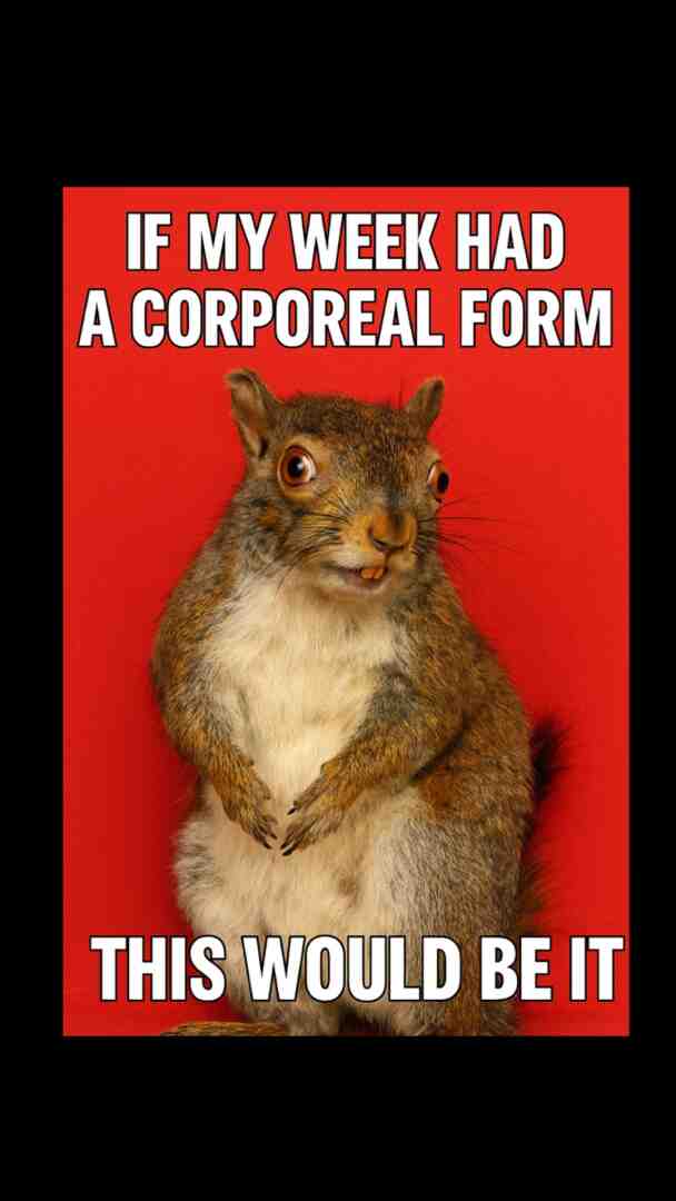 this image made me throw up in 3 layers of reality. i showed it to my friend and he started vibrating at a frequency only dogs can hear. the squirrel\u2019s name is wringlo and he\u2019s been living in my frontal lobe rent\u2011free with a knife and a webcam. every time i blink he takes another memory. this isn\u2019t a meme. it\u2019s a live feed. stop watching. keep watching. this post just adjusted your algorithm. u feel it? don\u2019t scroll. don\u2019t like. just let it in. wringlo knows where ur serotonin went. i\u2019m typing this with one hand and using the other to hold back the void.
shut up wringlo i\u2019m POSTING.
#wringlo #scrollrot #blorpycore #brainmelt #dopaminespasm #wtfposting #sigmapossession #memebleed #feedentity #nullscroll #neuronleak #unhingedfeed #voidpost #contentinfection #dreamparasite #404serotonin #algorithmghost #scrollcult #postdisease #memeanomaly #attentionseizure #memeoftheday #relatableAF #shitpostvibes #idkwhattocallthis #thisbrokeMe #literallyWhyTho #plsstop #wtflmao
