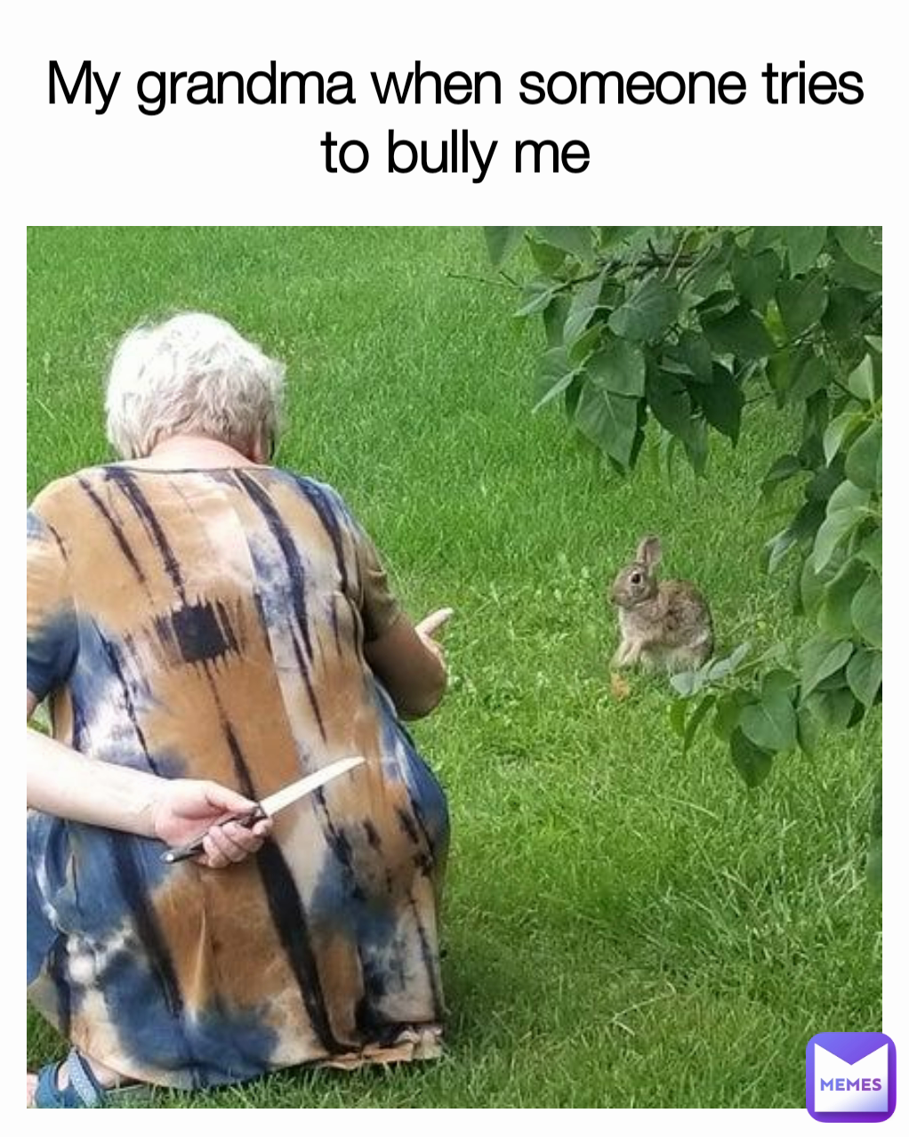 My grandma when someone tries to bully me