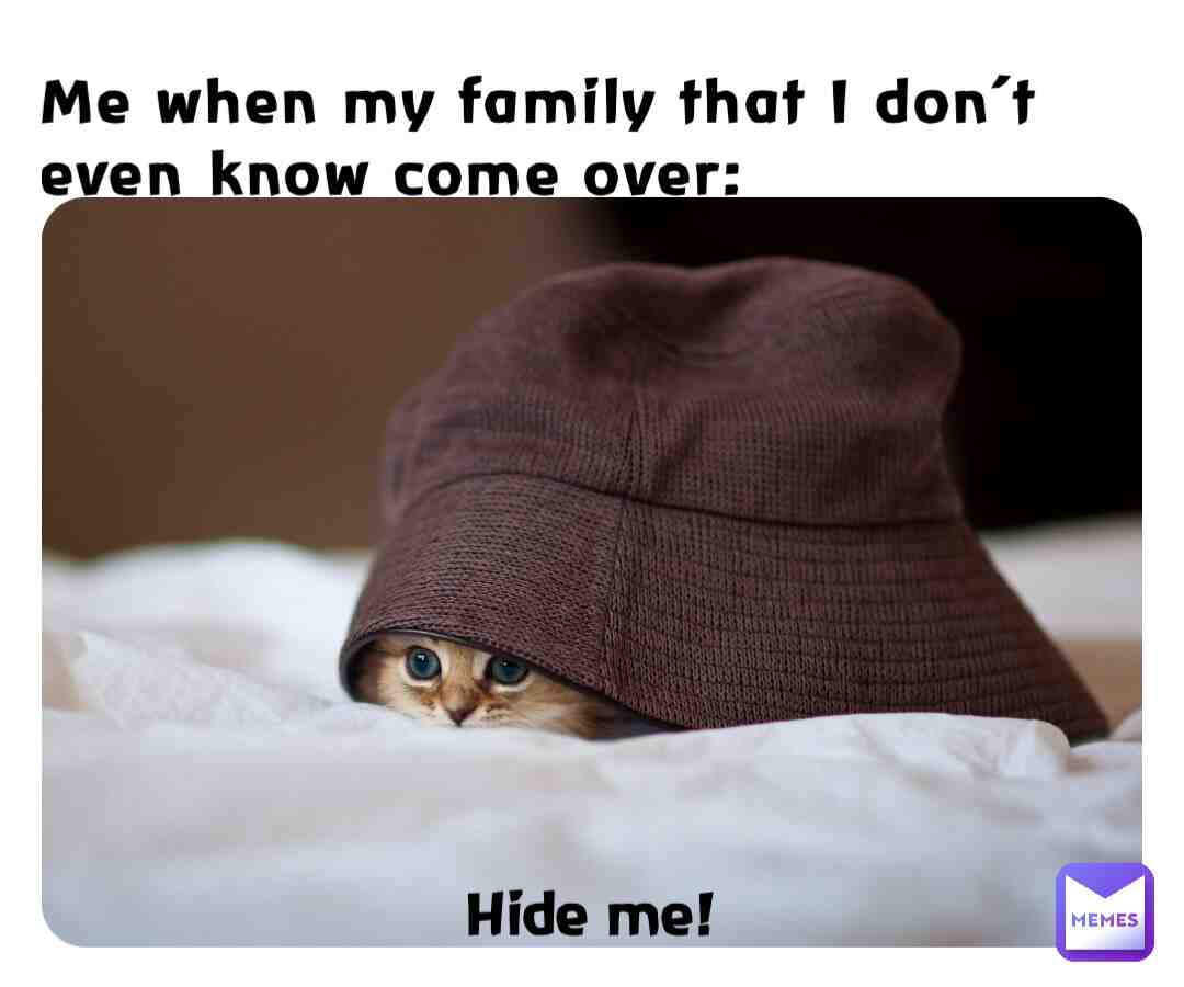 NOT THE FAMILY I DONT EVEN KNOW!!!! #family #kittens