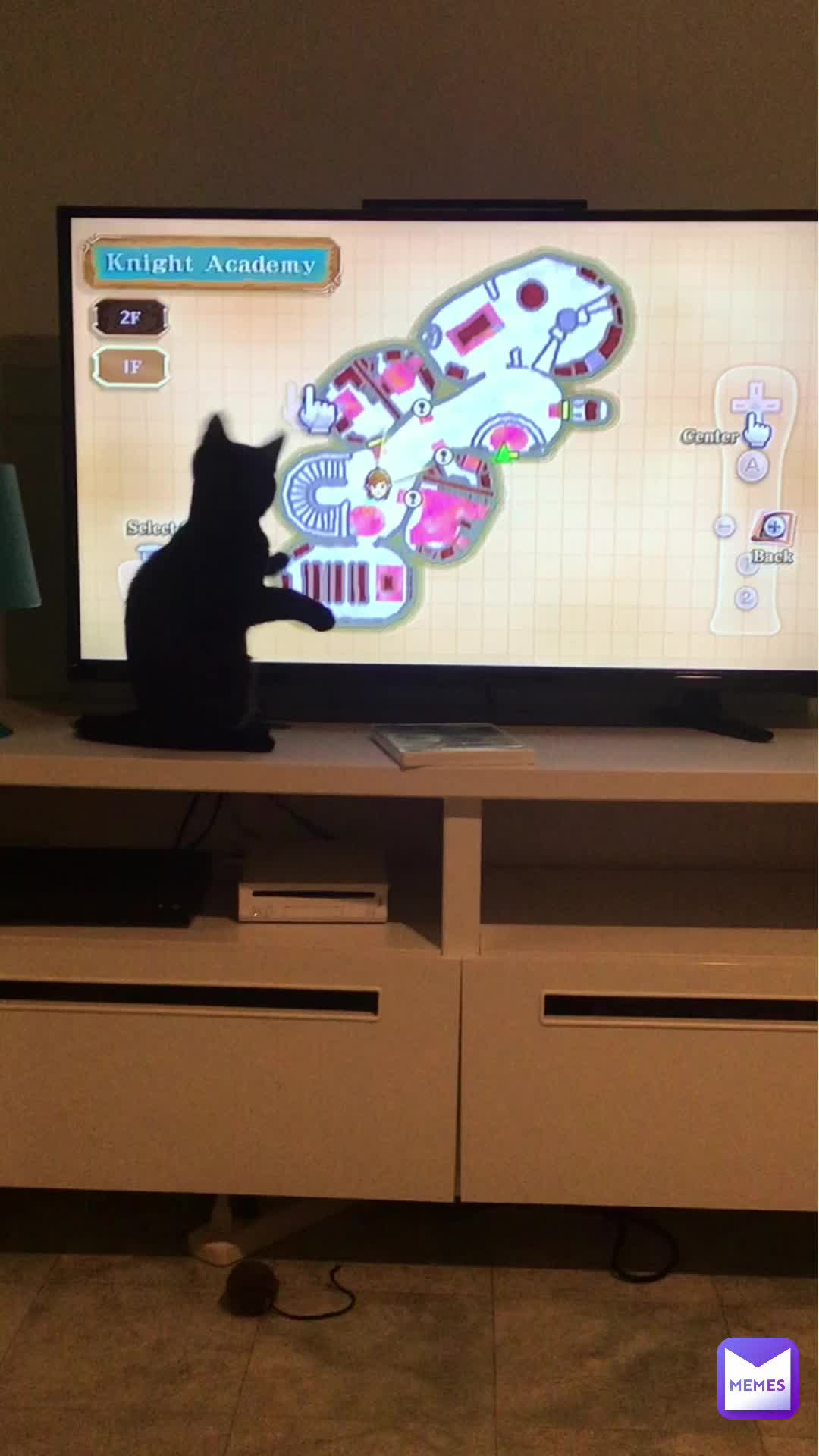 (Original Video) How To Entertain Your Cat! #funny #cats