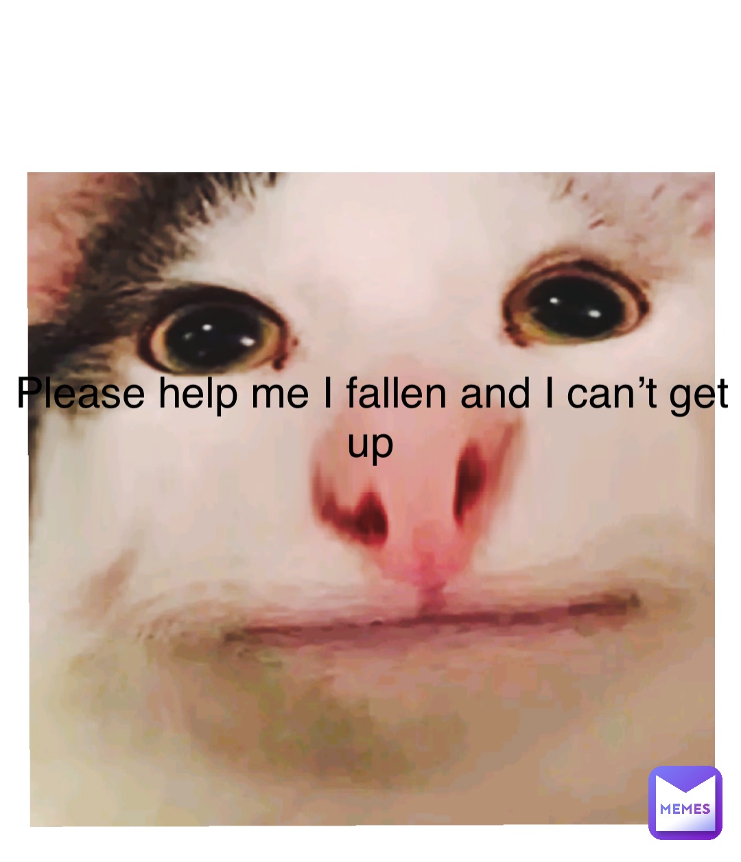 Double tap to edit Please help me I fallen and I can’t get up