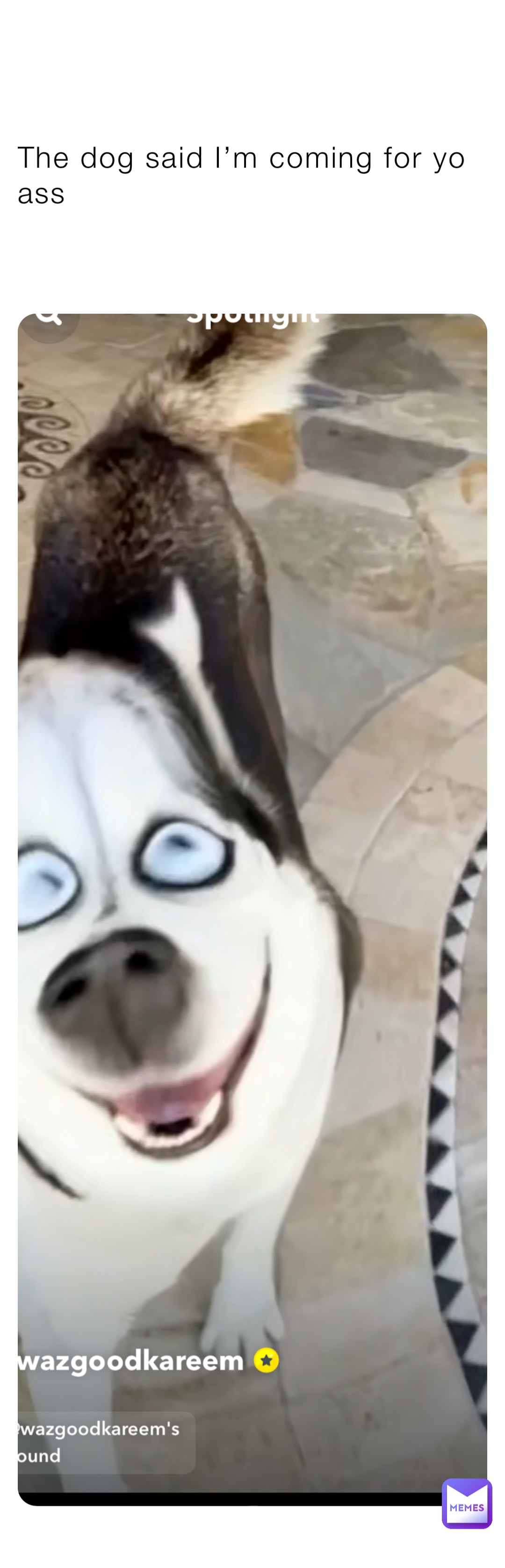 The dog said I’m coming for yo ass