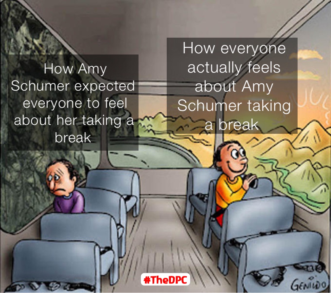 How everyone actually feels about Amy Schumer taking a break How Amy Schumer expected everyone to feel about her taking a break #TheDPC