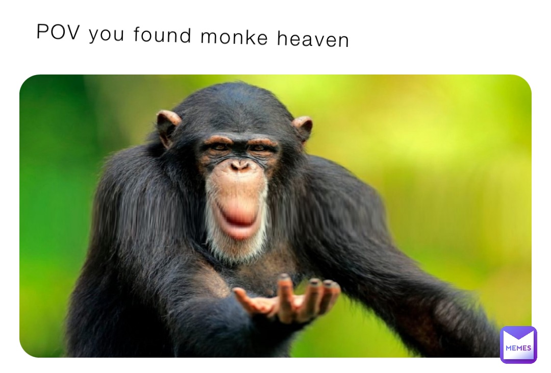 POV you found monke heaven