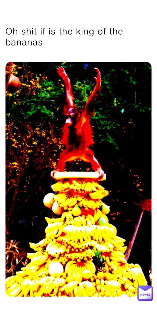 King Of Bananas #animals