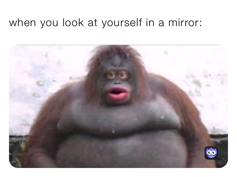 when you look at yourself in a mirror:
