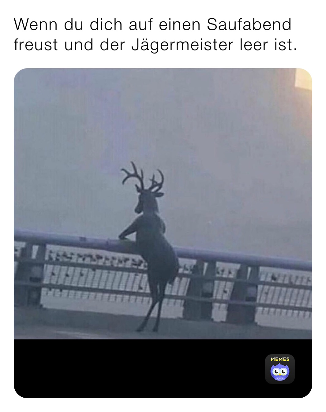 Wenn du dich auf einen Saufabend freust und der Jägermeister leer ist. 