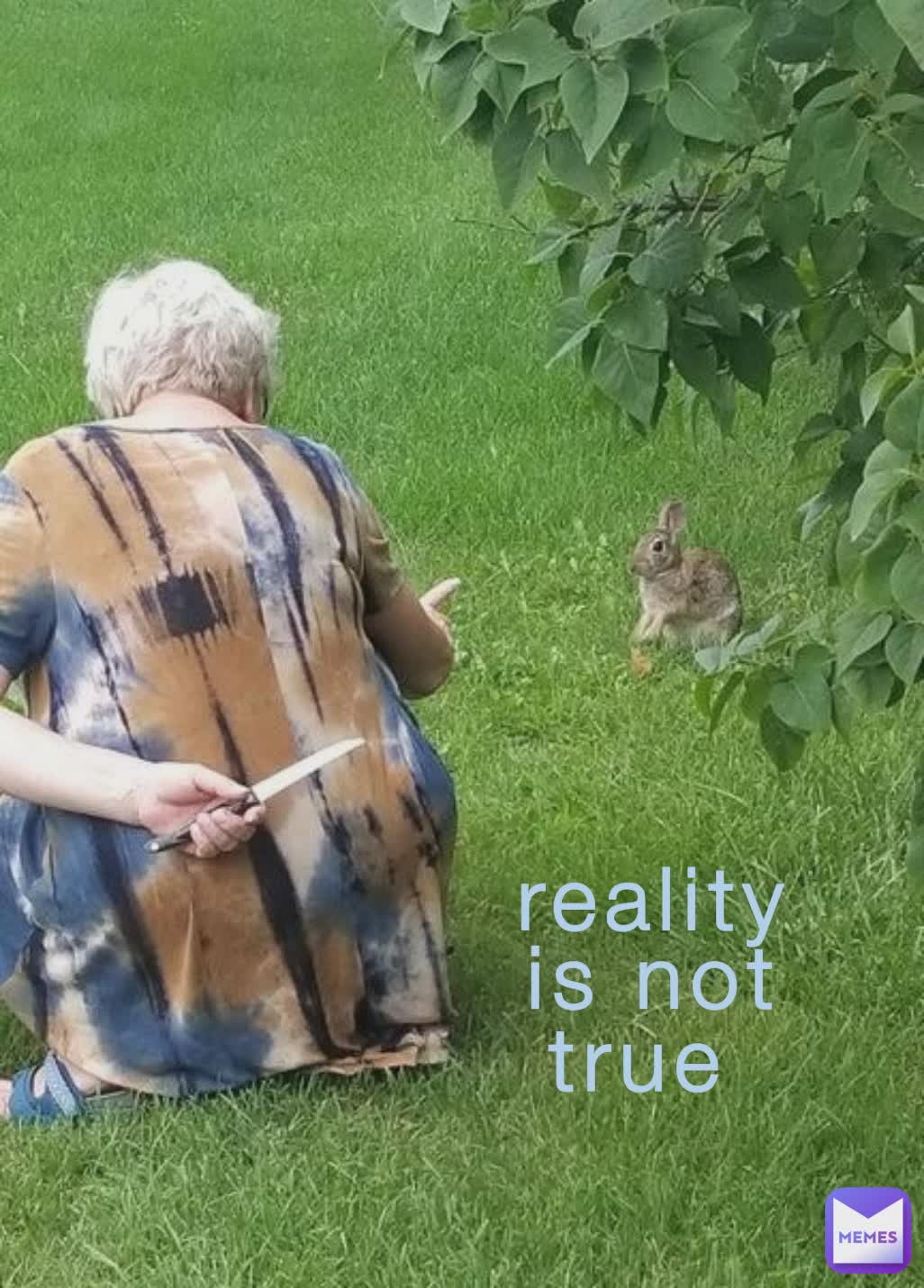 reality is not true 