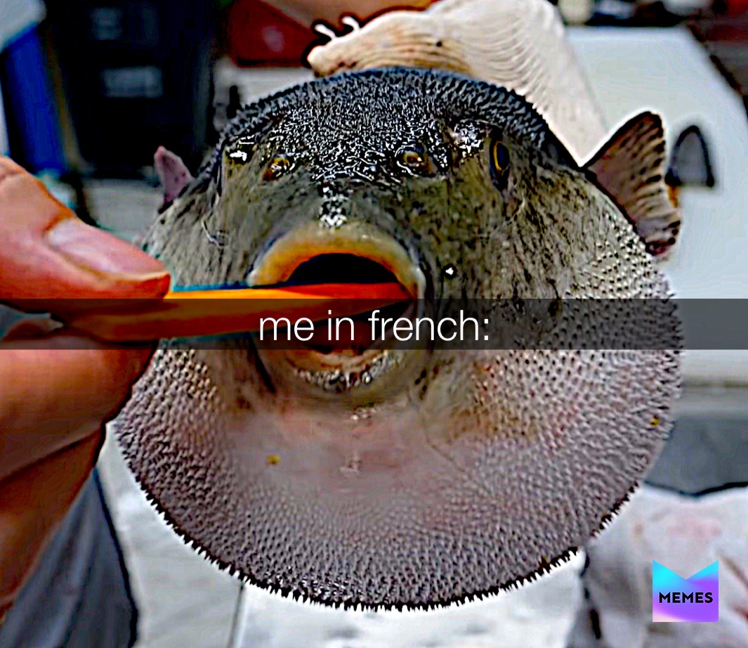 Meme by bombfiltwithmemes