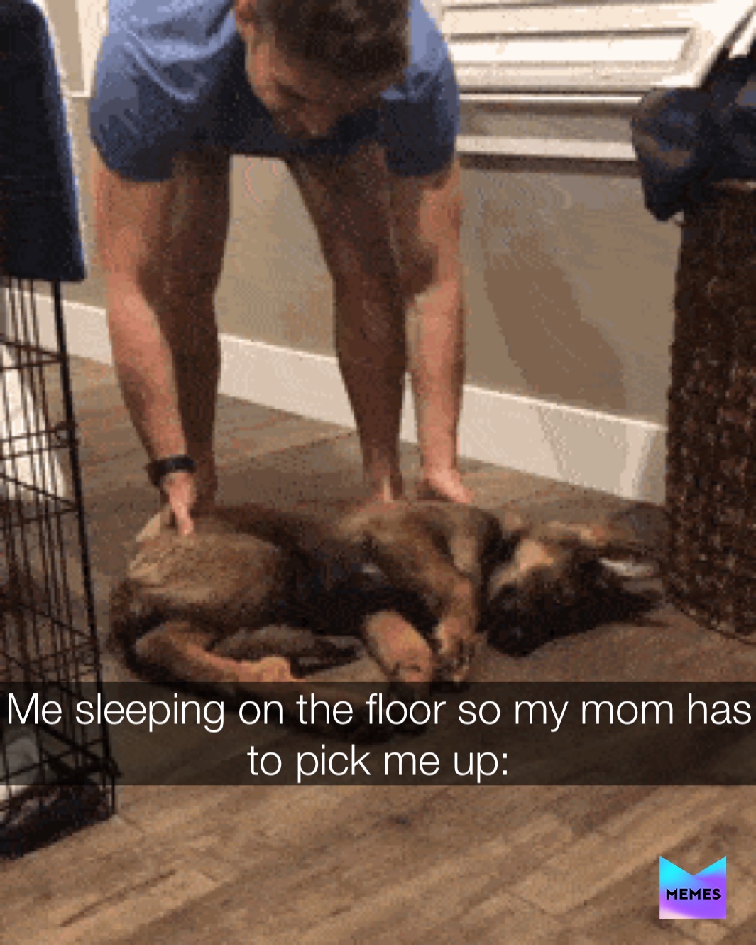 Meme by bombfiltwithmemes