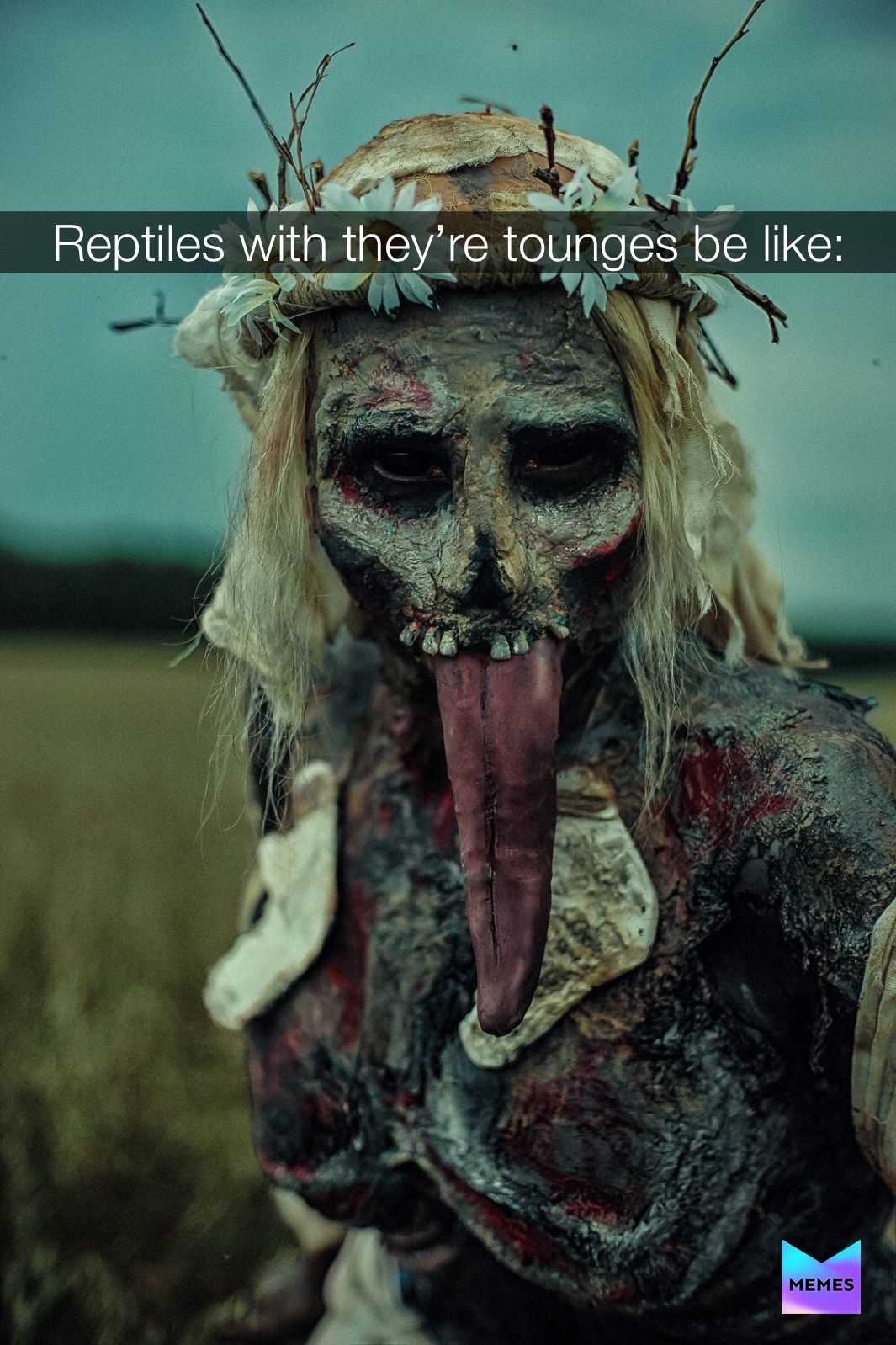 Meme by bombfiltwithmemes