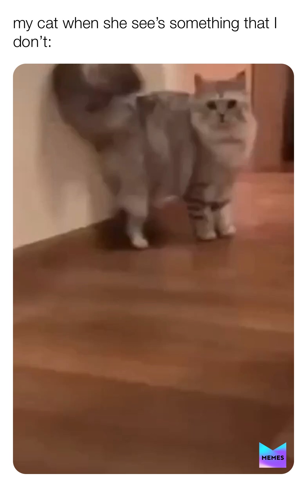 Meme by bombfiltwithmemes