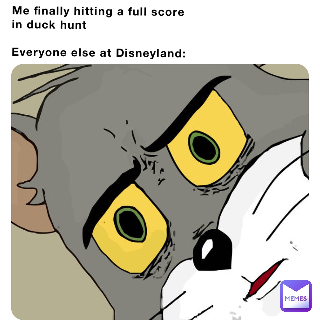 Me finally hitting a full score in duck hunt

Everyone else at Disneyland: