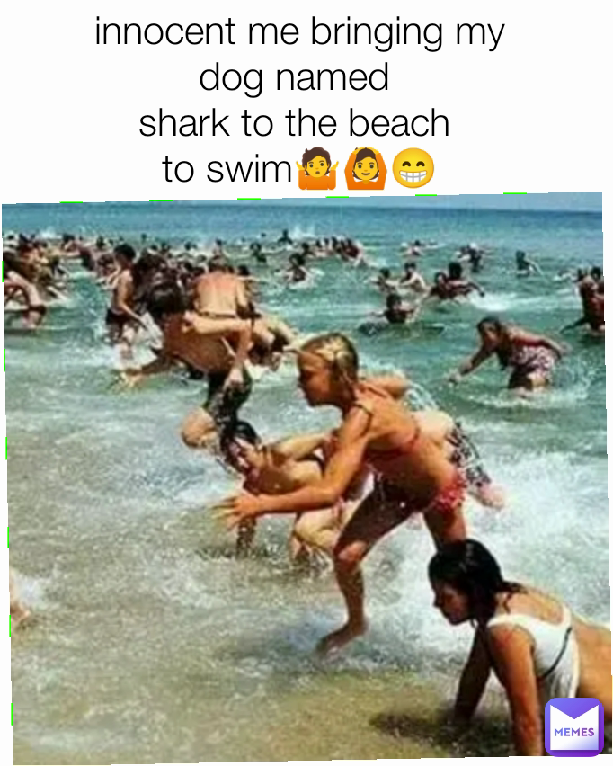 innocent me bringing my
dog named 
shark to the beach 
to swim🤷🙆😁
