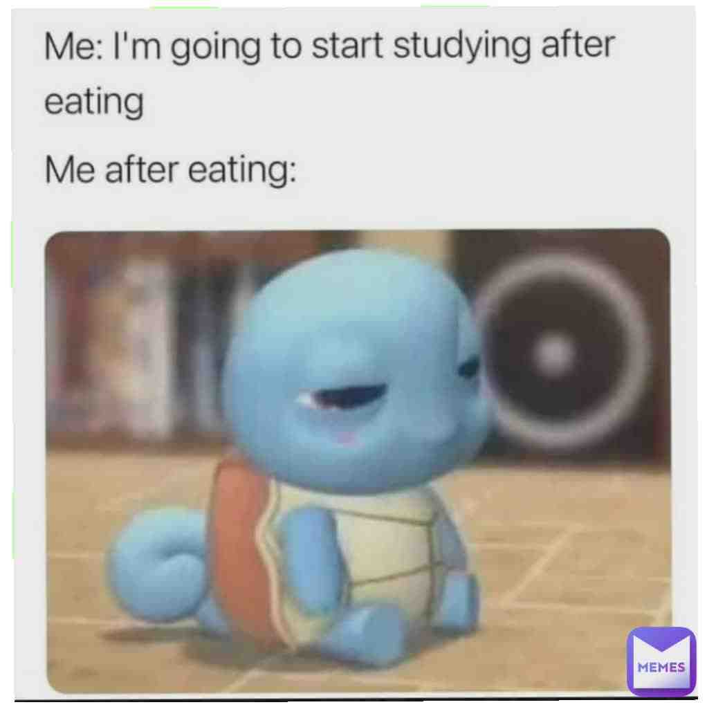 😴😴😴😴😴😴