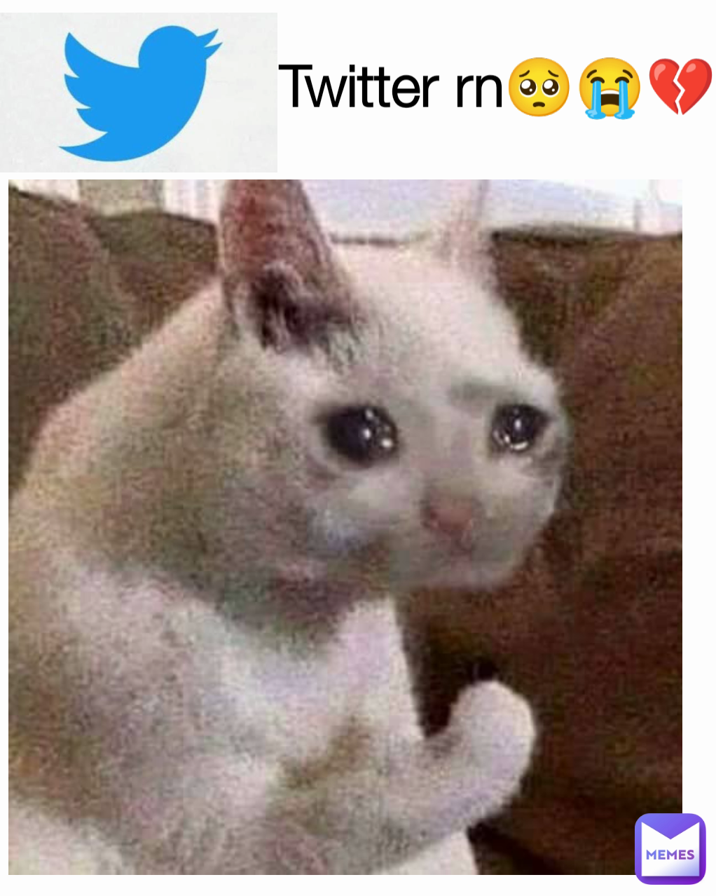 Twitter rn🥺😭💔