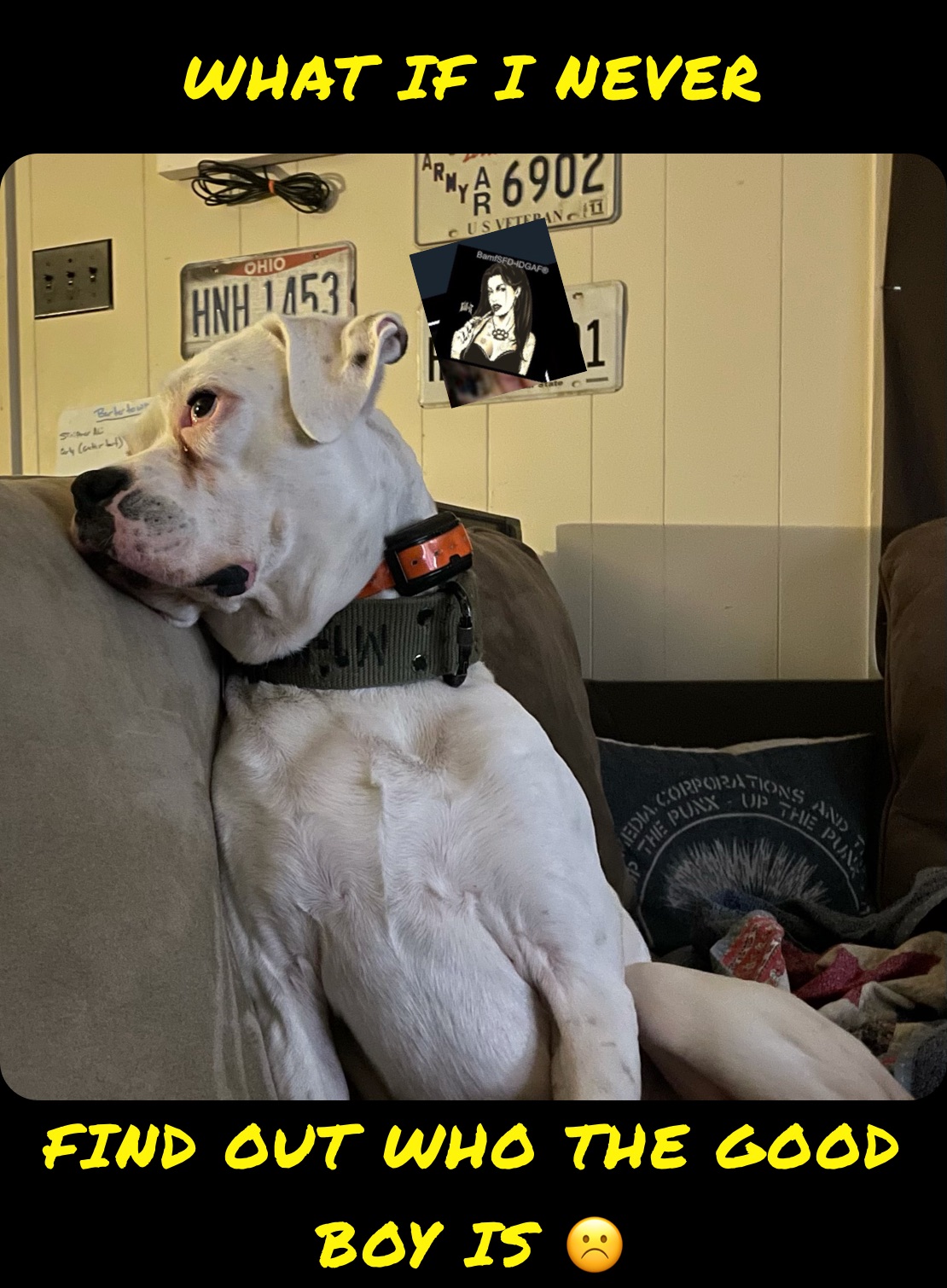 WHAT IF I NEVER  FIND OUT WHO THE GOOD BOY IS ☹️