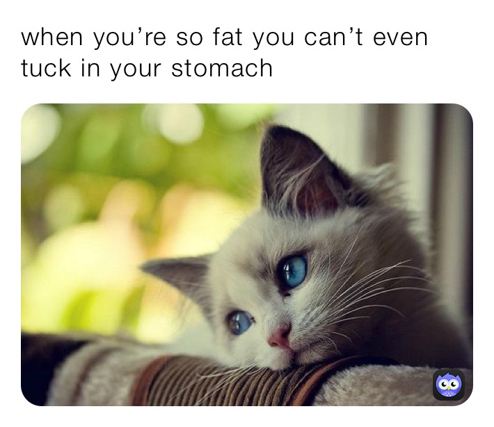 when you’re so fat you can’t even tuck in your stomach 