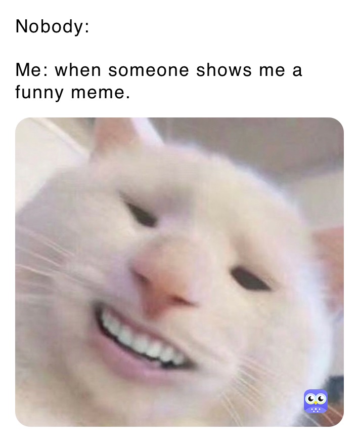 Nobody:

Me: when someone shows me a funny meme.