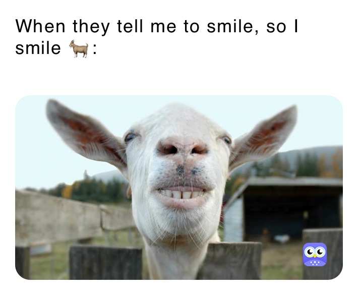 When they tell me to smile, so I smile 🐐:
