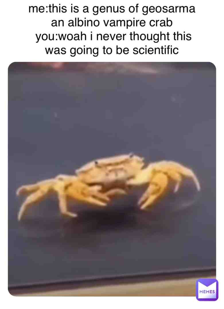 Meme shared by @alexpresents