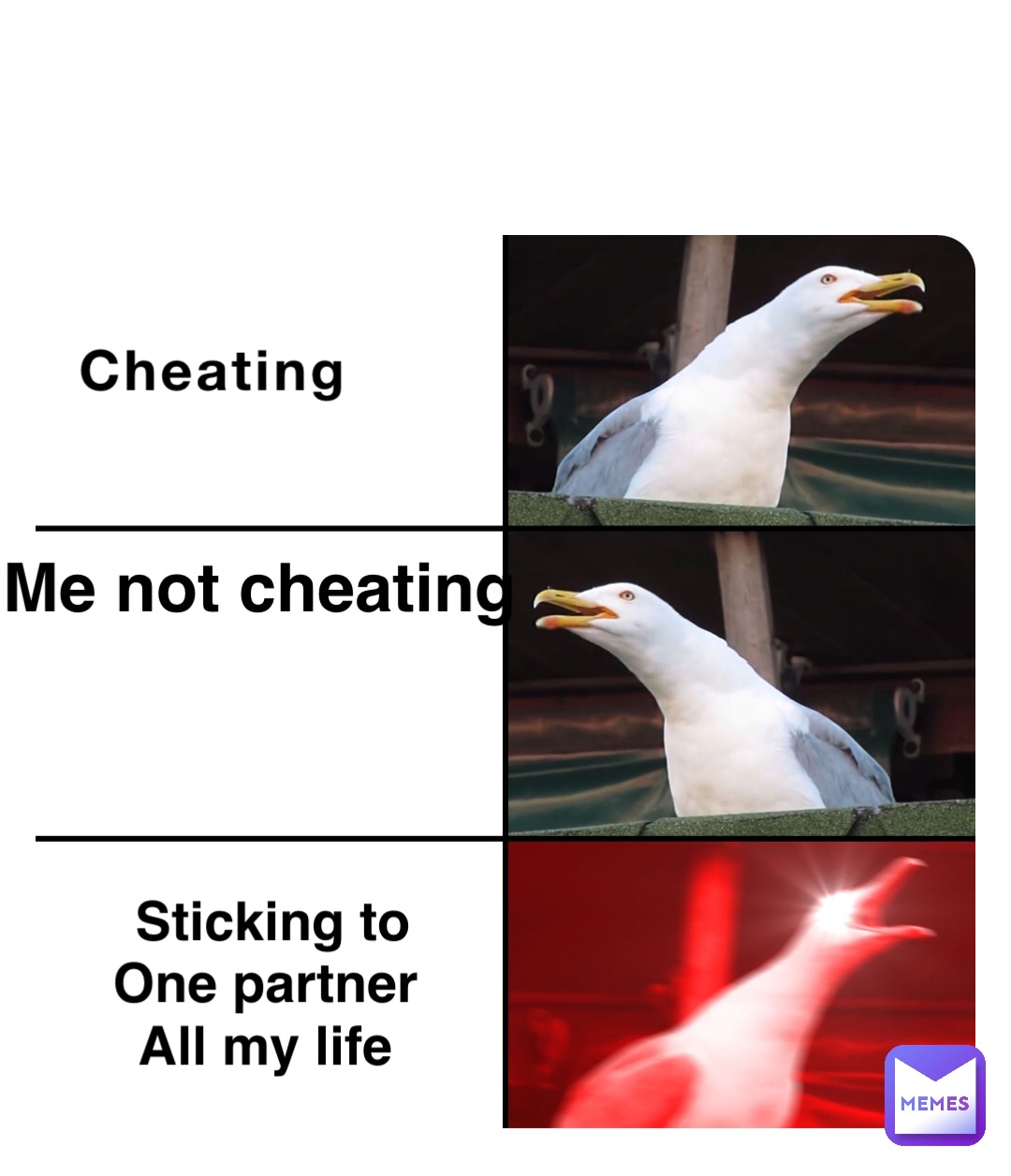 Cheating Me not cheating Sticking to 
One partner
All my life