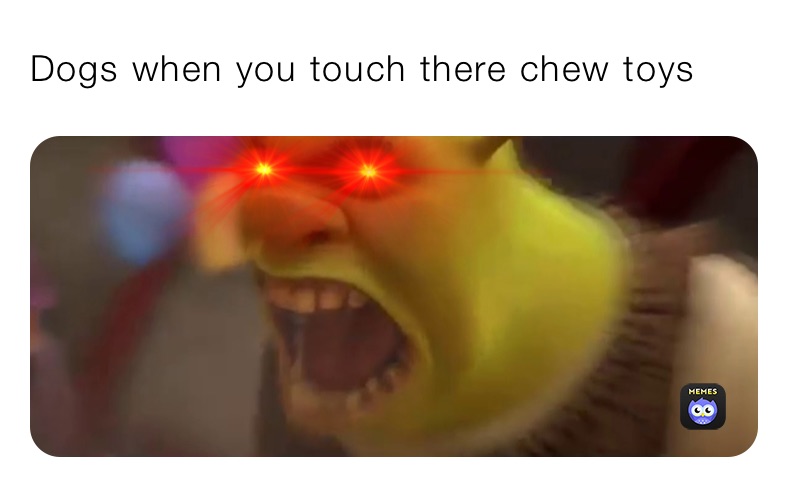 Dogs when you touch there chew toys