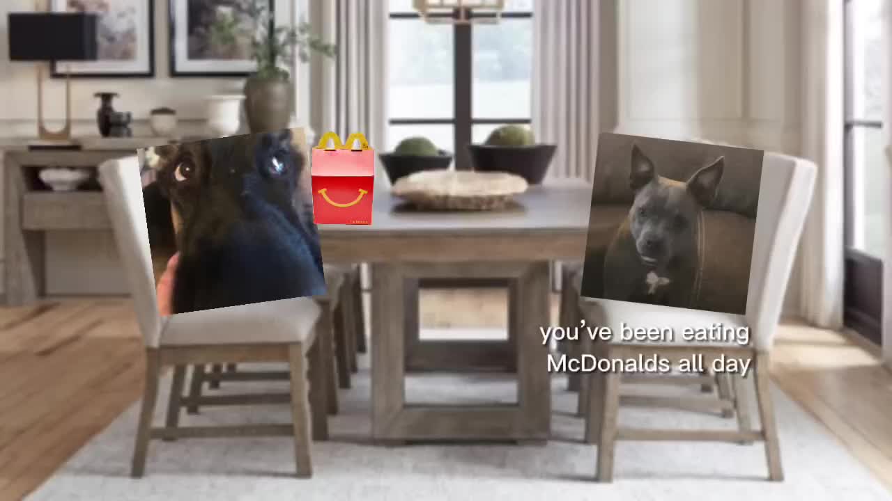 Yes they are my dogs