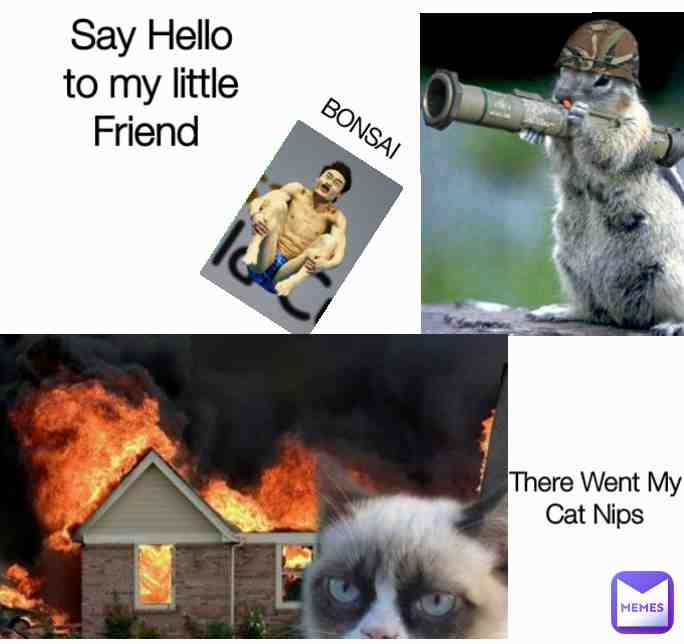 Meme shared by @shanehilton17