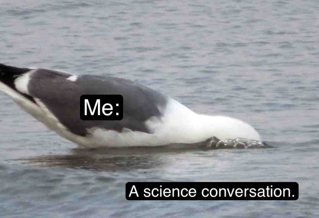 This is because I didn’t post on Wednesday.